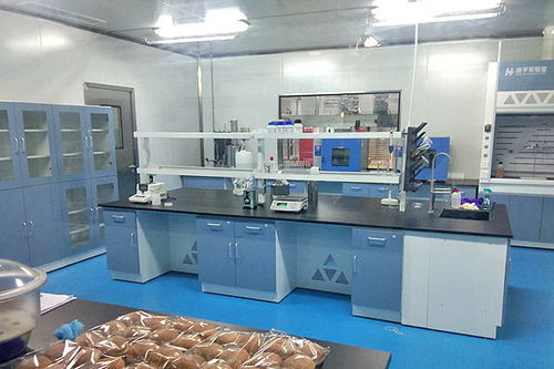 食品行业净化车间方案设计与企业策划全解析